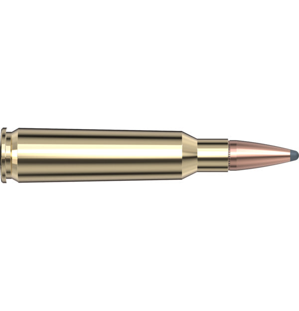 Hornady Custom 250 Savage 100gr InterLock 2800FPS 20 Rounds