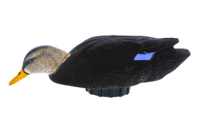 Avian -Power Shaker Black Duck Surface Feeder