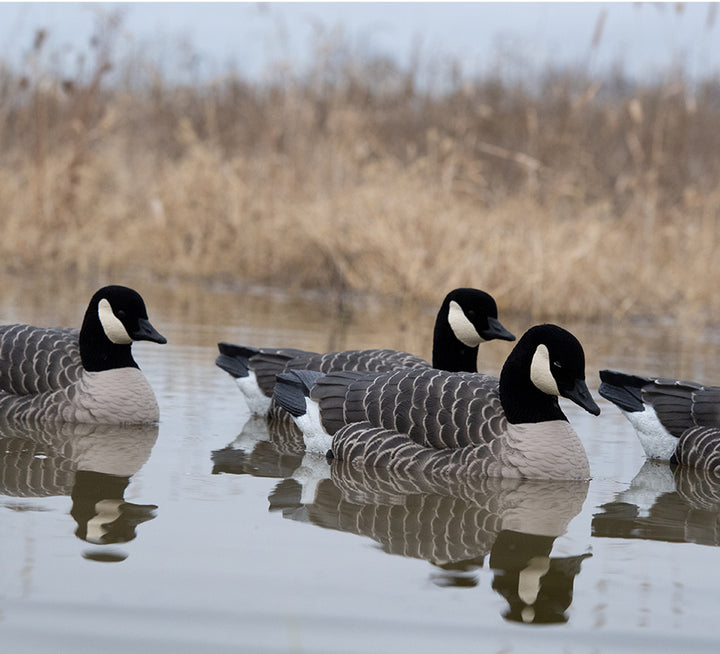 Avian - Topflight Lessers Floating Goose Decoys -4Pk