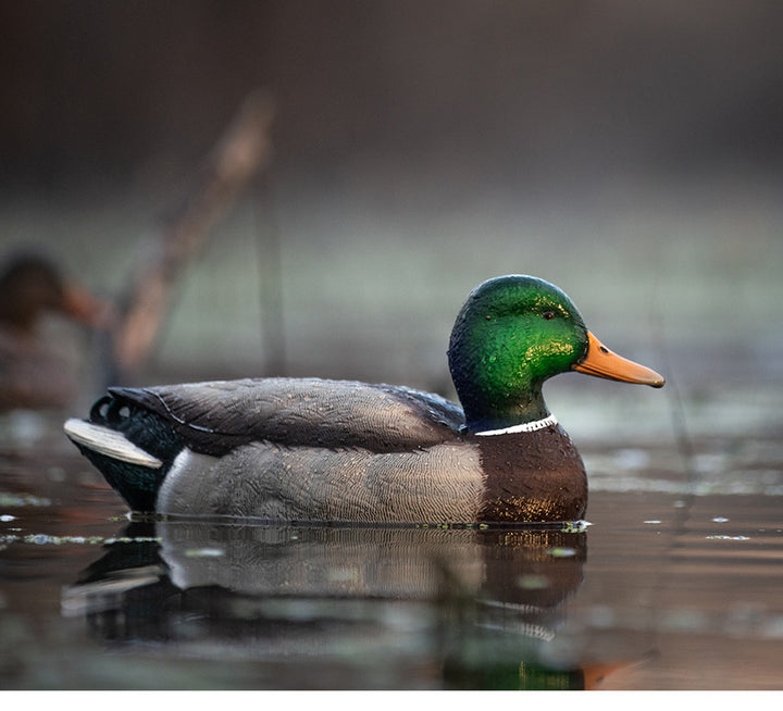 Avian Top Flight Mallard Fusion Pack