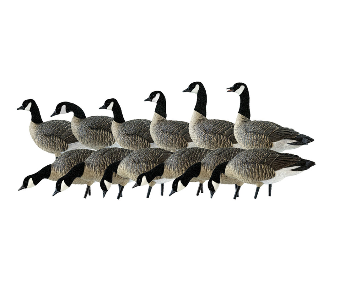 Avian X AXP Outfitter Lesser Pack with 12 Slot Decoy Bag